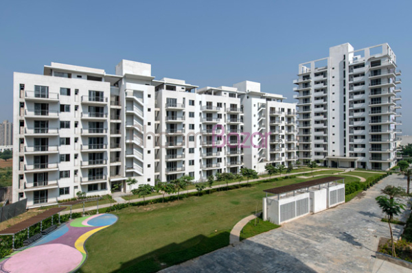 Vatika Sovereign Next
